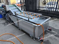 Industriële circulerende waterbelletjes roestvrijstalen wasmachine voor voedsel, fruit, reiniging, drogen en ontwatering
