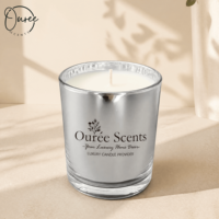Bougie en cire de soja naturelle OEM ODM, dans un verre givré électro-plaqué, personnalisation de la marque pour cadeau et décoration intérieure