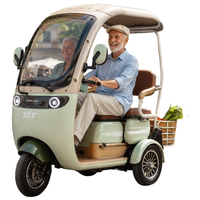Tricycles électriques Tuk Tuk pour adultes, tricycles électriques avec moteur 60V20AH 60V32AH 1000W, véhicule électrique à trois roues