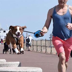 16ft 10ft Automatisch einziehbare haltbare Nylon Pet <span class=keywords><strong>Dog</strong></span> Lead Leine Travel Walking Tangle-Free Hunde trainings leine - Product Image 6