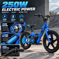 Vélo d'équilibre électrique pour enfants en acier au carbone, moteur 250W, batterie lithium 24V 5.2 Ah, vélo à pousser robuste, vélo d'entraînement pour enfants