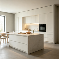 Ensemble d'armoires de cuisine modernes et écologiques sur mesure avec un grand espace de rangement et des panneaux résistants à l'eau pour la rénovation de villas et d'appartements