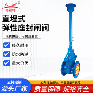 Guangdong Magnesium Special Gate Valve Dn100 Flanged Water Blocking Single Gate Rigid Structure - Product Image 5