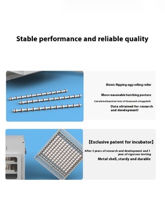 Mới được thiết kế lớn-cửa sổ Chất lượng cao trứng lồng ấp với tự động trứng-nuôi cấy hộp - Product Image 5