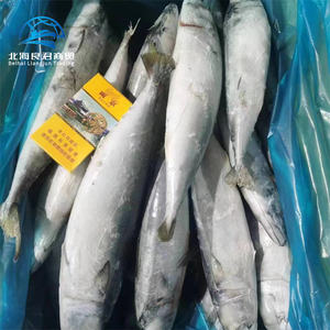 بيع بالجملة بسعر منخفض تصدير المأكولات البحرية الطازجة نكهة النرويج-مجمدة-الماكريل الإسبانية تشوب كامل الجولة - Product Image 4