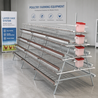 Machine de lavage de cages à poulets entièrement automatisée pour 20 000 poulets, cages à poules pondeuses pour 500 poules, cages pour poules pondeuses