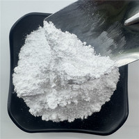 Sílice Pirogénica Hidrófoba Industrial de Alta Pureza, Dióxido de Silicio Modificado Superficialmente, Agente Antiaglomerante en Polvo Nano para Resina Selladora