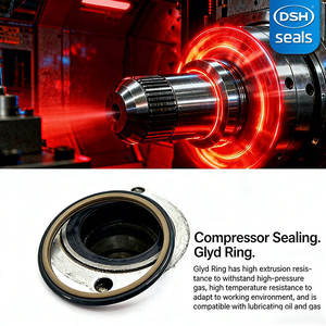 PTFE para pistão de haste hidráulica, <span class=keywords><strong>kit</strong></span> de reposição de cilindro hidráulico de pistão, vedação de motor de cilindro hidráulico spgw - Product Image 3