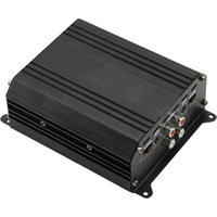 12V Performance super efficace 200w Double PCB Mini classe D amplificateur de voiture taille Super compacte amplificateur Audio de voiture 800.4