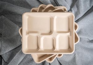Plateau jetable biodégradable en canne à sucre naturelle, assiettes en papier à 4 compartiments, résistant au micro-ondes et au congélateur, pour restaurants - Product Image 3
