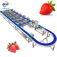 Multi-level gewichtsclassificatiemachine voor het sorteren van fruit en groenten, hoge efficiëntie, op maat gemaakt, 3-18 sorteerstanden