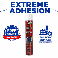 Mousse PU expansive professionnelle de type pistolet à haut rendement pour l'étanchéité des fenêtres, 750 ml