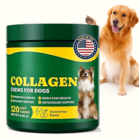 Friandises pour chiens OEM Multi Collagène, 120 comprimés en bouteille, pour une pelage sain et brillant, aide holistique à la croissance des chiots, friandises moelleuses savoureuses riches en protéines