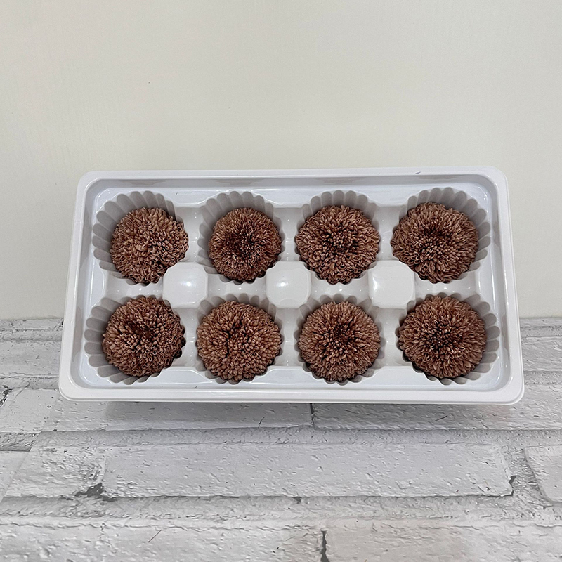 pompon chrysanthemum  8pcs/box