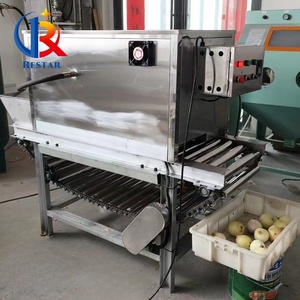 Tự động nhỏ hành tây lột Máy cắt nhà máy Giá rau Peeler cho bánh sử dụng trên bán - Product Image 5