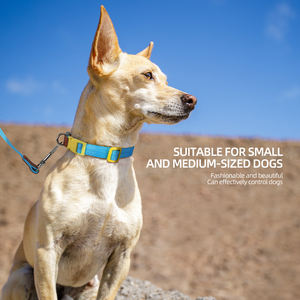 Ensemble collier et laisse pour chien de luxe en gros - Alliage réglable imprimé avec des rubans pour la promenade des chiens - Product Image 3