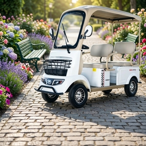 Minibús Turístico de 2 Plazas, Vehículo de Cuatro Ruedas para Viajes Familiares y Excursiones - Product Image 1