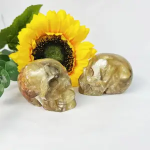 Carved Gem Stones High Quality Crystal Skulls Reiki Golden Mica Skulls Customized For Decoration And Gifts