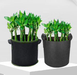 Bolsas de Cultivo de Fieltro de Poliéster Negro Ecológicas de 10 Galones, Personalizadas, para Plantar Árboles, Bolsas de Vivero para Patatas, Excelente Precio - Product Image 3