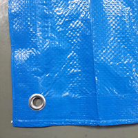 Bâche en PE imperméable de 10 pi x 12 pi, 50GSM-300GSM, toile bleue argentée, tentes, bâche en aluminium argenté 100% enduite de PE