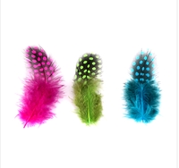 Teint naturel 50pc ploybag plume de guinée pour bricolage artisanat cheveux Costume accessoire de pêche mouche attachant ornement rêve frange décor
