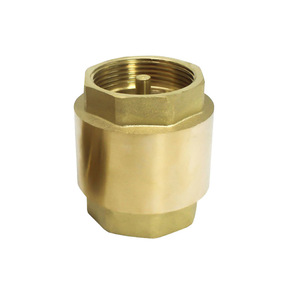 Vanne de retenue verticale en laiton, vanne <span class=keywords><strong>anti</strong></span>-<span class=keywords><strong>retour</strong></span> PN16, pression 1 pouce, <span class=keywords><strong>pour</strong></span> conduite d'eau, vanne unidirectionnelle, garantie 3 ans - Product Image 1