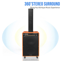 Alta calidad Buen sonido Gran potencia 10 pulgadas Altavoz de carro de madera TWS Audio de madera para exteriores recargable con micrófono