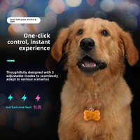 Pendentif lumineux en PVC en forme d'os de luxe, anti-perte, avec étiquette d'identification pour chiens et chats, lumière LED clignotante pour sac à dos d'animal de compagnie