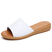 Promotion Chaude : Chaussons Chinois, Mocassins, Chaussures Plates et Sandales pour Femmes et Dames