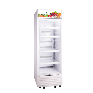 <span class=keywords><strong>Prezzo</strong></span> basso in posizione verticale piccolo <span class=keywords><strong>congelatore</strong></span> verticale congelamento vetrina verticale vetrina frigorifero - Product Image 2
