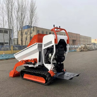 CE/EPA-zertifizierter LOONG SHEEN Selbstladender Mini-Dumper 800kg Raupenlader 0,3m Schaufel 16,8KW EPA-Motor Kostenloser Versand Lader