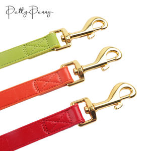 Conjunto de Collar y correa para perro de tendencia 2024, impermeable, estético, multimanos libres, gancho a presión, correa para perro, gancho de cuero para correa de perro - Product Image 6