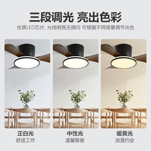 Ceiling Fan Light With Led Light For Bedroom Living Room Silent Inverter 10-15 Sqm Full Spectrum Lighting - Product Image 3