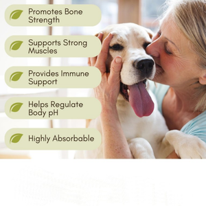 Échantillon Gratuit : Complément Articulaire pour Chiens, Vitamine D & MSM, Comprimés <span class=keywords><strong>de</strong></span> Calcium pour Animaux – Renforce les Os des Chats et des Chiens, Bien-être des Animaux - Product Image 3