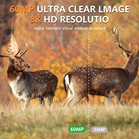 Caméra de chasse étanche à énergie solaire avec capteur CMOS 8K 4K 60MP, vision nocturne résistante aux intempéries et détecteur de mouvement forestier 15m