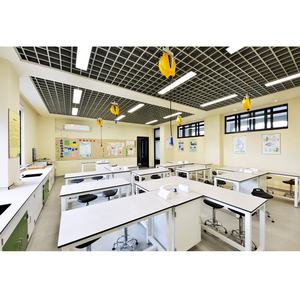 Meuble de laboratoire de biologie chimique personnalisé armoire banc de laboratoire avec évier fournisseurs fabricant pour écoles - Product Image 5