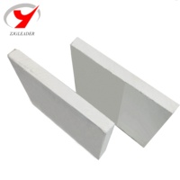 Panneau moderne en mousse de MgO à haute densité Noyau de porte ignifuge Cloison intérieure/extérieure pour hôtel/appartement Utilisation carrée MGSO4