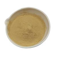Poudre de protéines végétales hydrolysées HVP pour l'amélioration de la saveur, additif alimentaire, protéine de soja HVP
