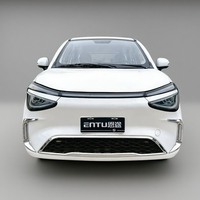 Coche Eléctrico de Cuatro Ruedas Homologado para Circular por la Calle, Modelo para Adultos