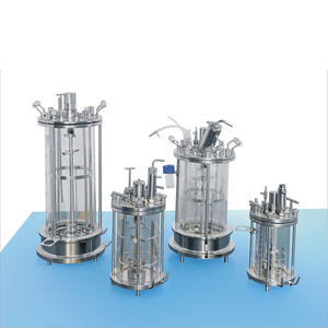 Sistema de Fermentación Biológica de Vidrio Laboao, Biorreactor para Cultivo de Células de Mamíferos e Insectos, 1L-15L - Product Image 3