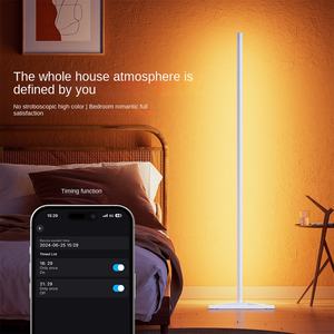 Lámpara de Pie LED de Acero Inoxidable Más Vendida para Sala de Estar y Uso en Hoteles, Colores Personalizables, Decoración de Hogar de Lujo - Product Image 2