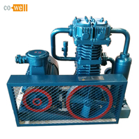 Compresseur de gaz ammoniac, GPL Cowell 491