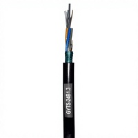 Cable de Fibra Óptica para Exteriores Modelo GYTS de Doble Blindaje, Fabricado en Guangdong, G652D, 2-288 Núcleos, 10 Conductores, Sistemas de Comunicación
