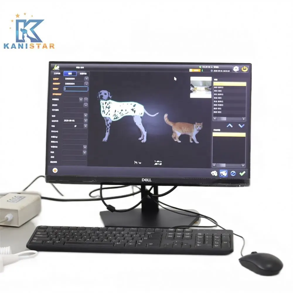 Pet Surgical Farm Animals Bone Detection Vet X-ray Machine for Vet Hospital