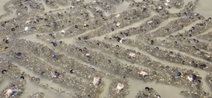 Chất Lượng Cao Cấp Sang Trọng Đính Cườm Vải Với Zircon Handmade 100% Polyester Giá Tốt Nhất Xuất Khẩu Từ Ấn Độ Nhà Sản Xuất - Product Image 3