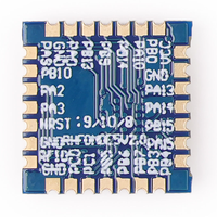 Seeed Studio Wio-E5 module sans fil (en vrac)-STM32WLE5JCARM Cortex-M4 et SX126x intégré, prend en charge LORaWAN sur EU868 & US915