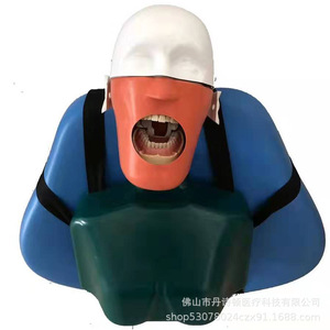 Modelo de Cabeza de Simulación Dental Dansdon con Boca Reemplazable para Prácticas de Enseñanza Oral, Fabricado en Foshan - Product Image 1
