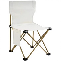 Chaise de camping pliable légère en acier inoxydable moderne pour la randonnée, la pêche, le pique-nique, les dîners, la plage et les activités de plein air