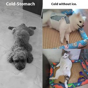 Verkoelende Zomer Katten Hondenbed - Product Image 4