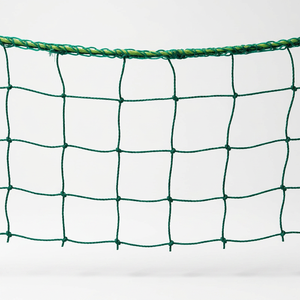Cricket Net 0.8mm Thickness 50mm Hole Size Hdpe Nylon Material Durable Indoor Sports <b>Netting</b> Waterproof Practice Waterproof Prac - Product Image 4